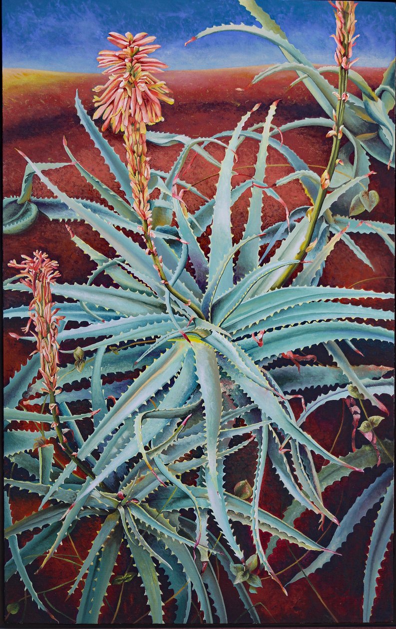 Aloes autorstwa Frances Ferdinands