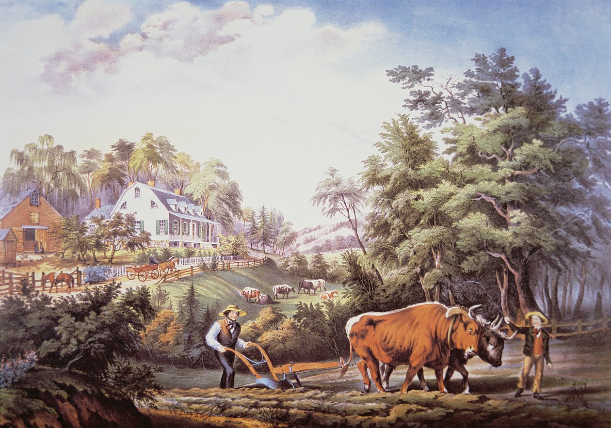 Scena amerykańskiej farmy autorstwa Frances Flora Bond (c.1812 76) Palmer