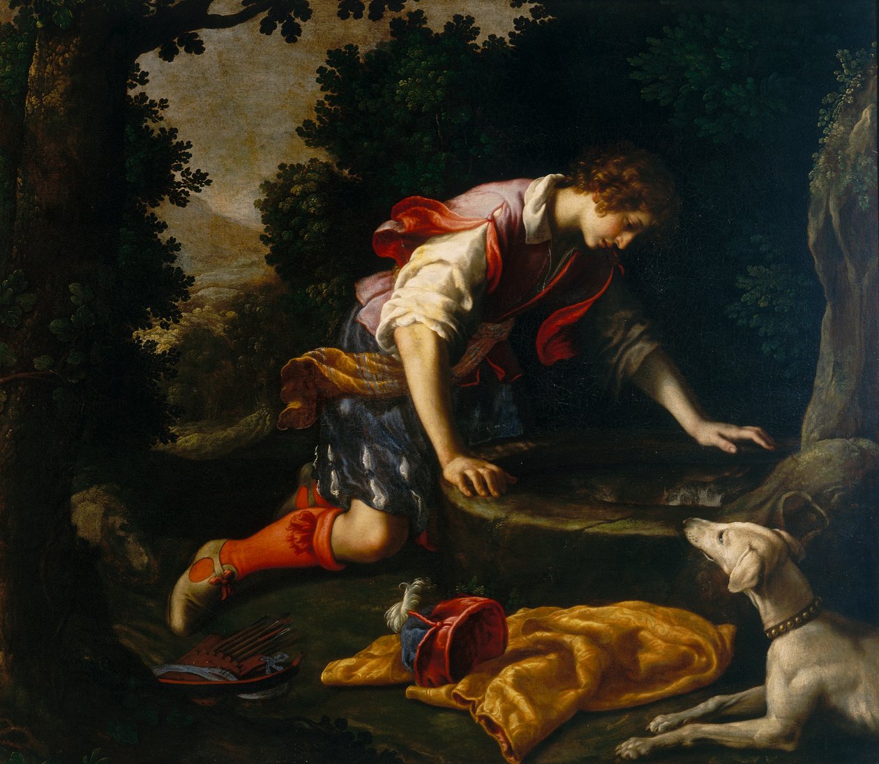 Narcyz na wiosnę autorstwa Francesco Curradi