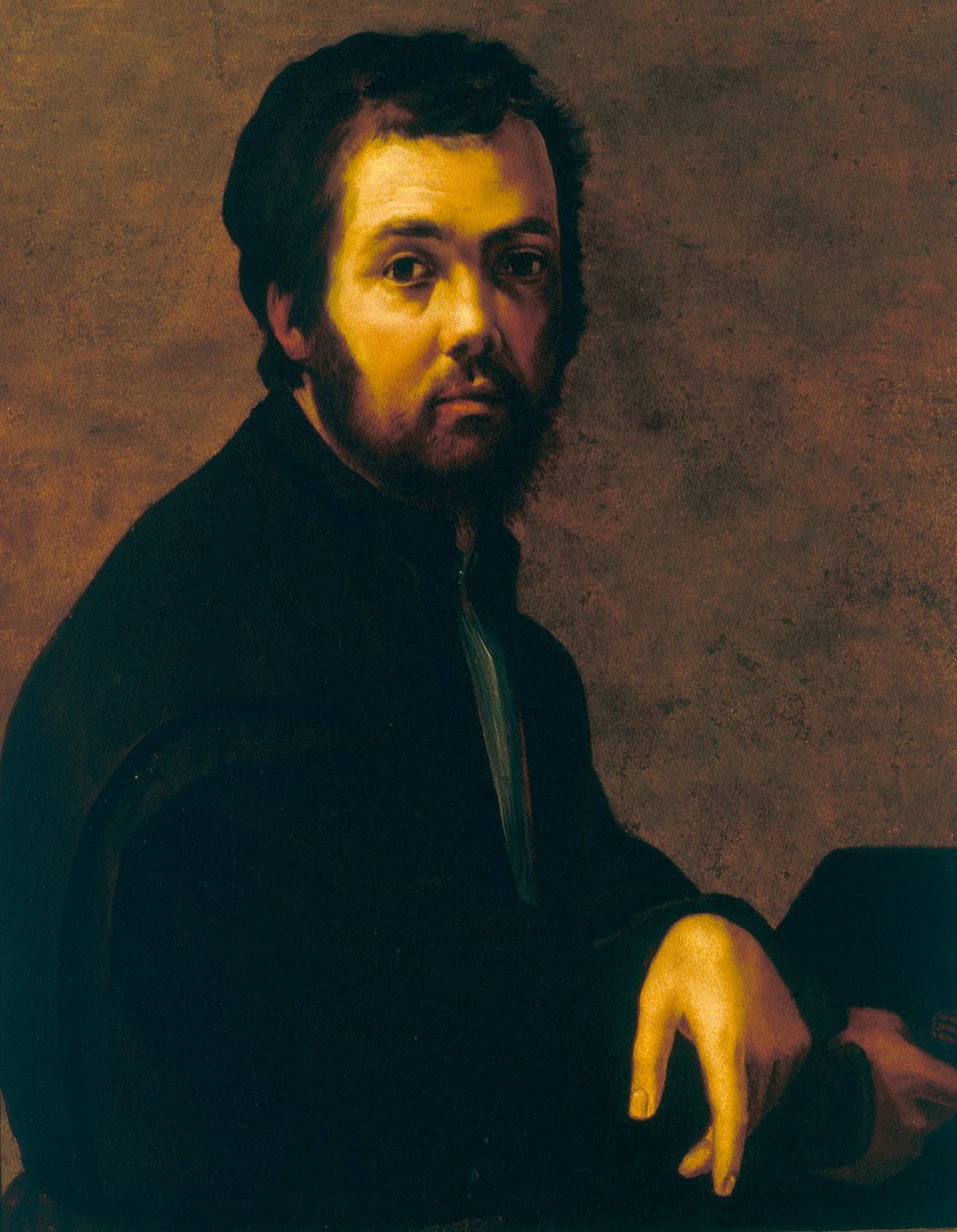 Portret mężczyzny autorstwa Francesco de Rossi Salviati Cecchino