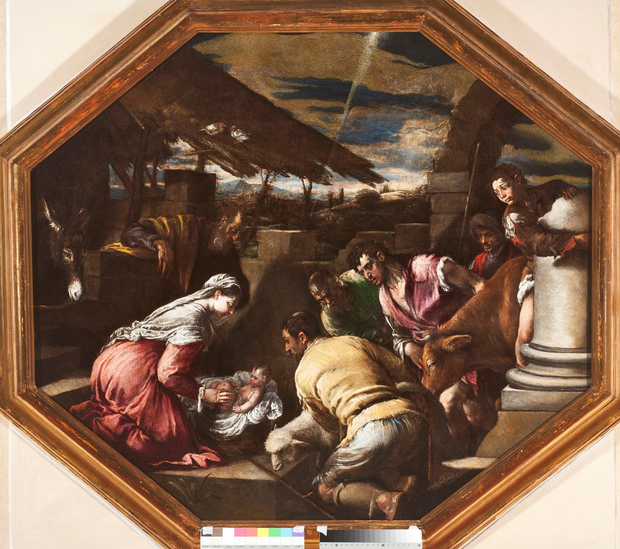 Adoracja pasterzy Obraz Francesco da Ponte dit Francesco Bassano (1549-1592) Genes, Musei di Strada Nuova autorstwa Francesco Bassano