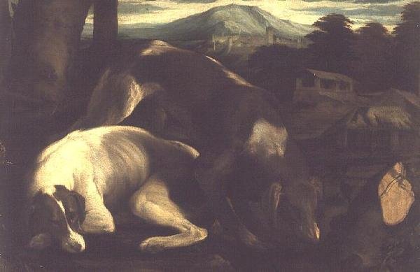 Dwa psy myśliwskie, ok.1555 autorstwa Francesco Bassano