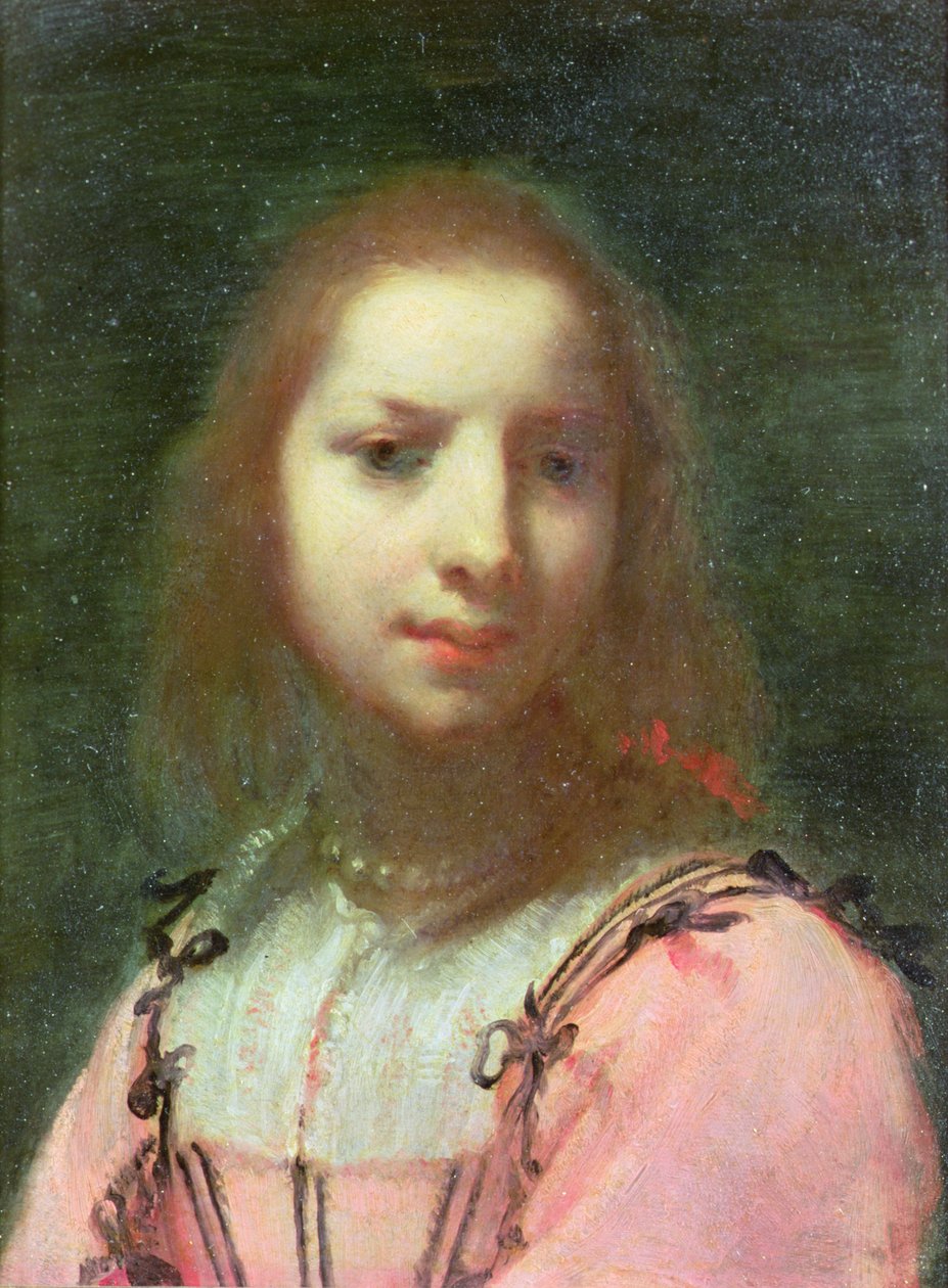 Portret młodej kobiety, ok. 1640 (olej na miedzi) autorstwa Francesco (attr. to) Furini