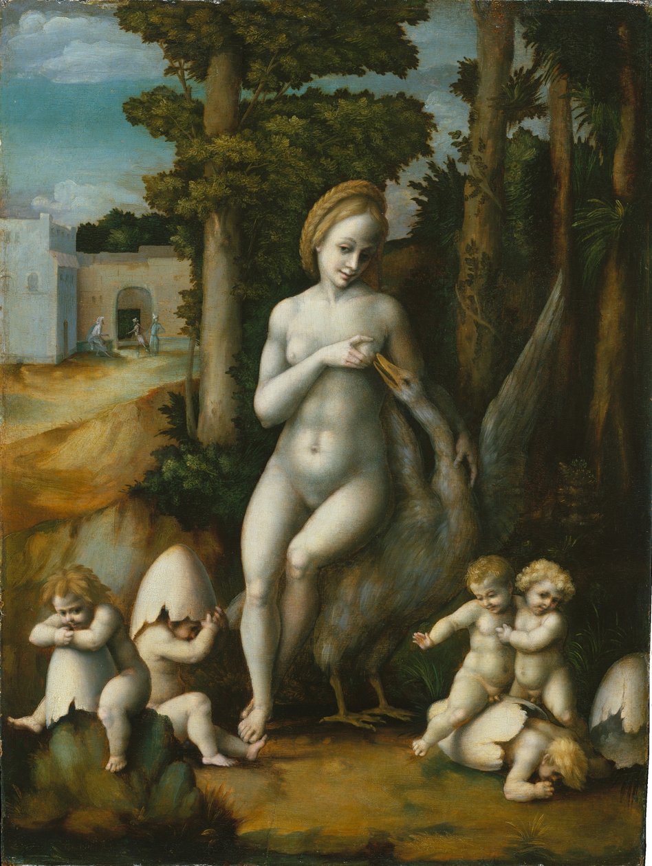 Leda i łabędź autorstwa Francesco Bacchiacca