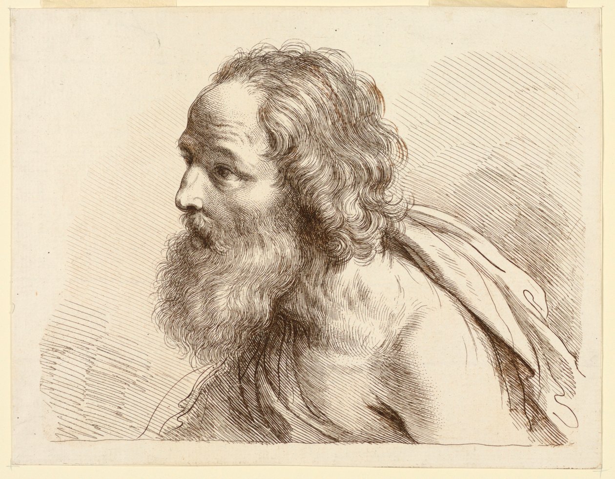 Portret starca z brodą z nagimi ramionami autorstwa Francesco Bartolozzi
