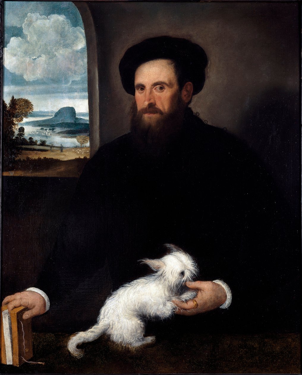 Portret dżentelmena z psem Obraz Francesco Beccaruzziego (ok. 1492-1563) ok. 1540 r. Wymiary 101x84 cm Mediolan, Zbiory Miejskie Zamku Sforzów autorstwa Francesco Beccaruzzi