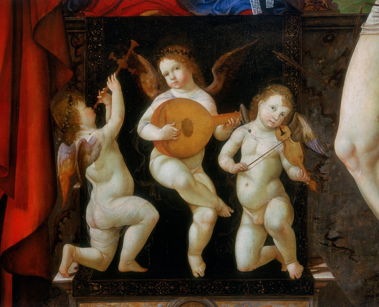Trzy muzyczne anioły. Fragment ołtarza Madonny intronizowanej ze świętymi Hieronima i Sebastianem, autorstwa Francesco Bianchi Ferrari, kościół San Pietro, Modena autorstwa Francesco Bianchi Ferrari