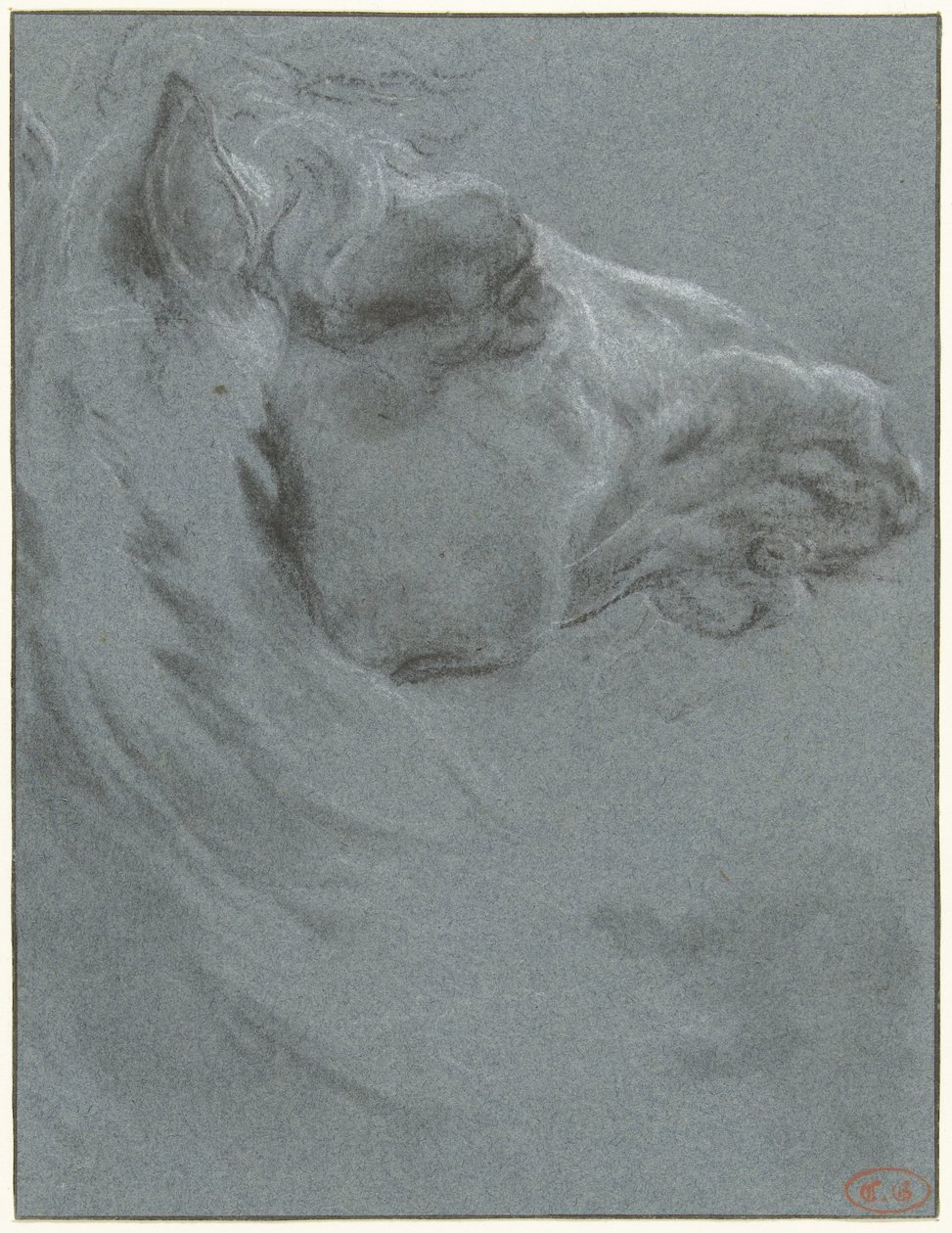 Głowa konia autorstwa Francesco Giuseppe Casanova