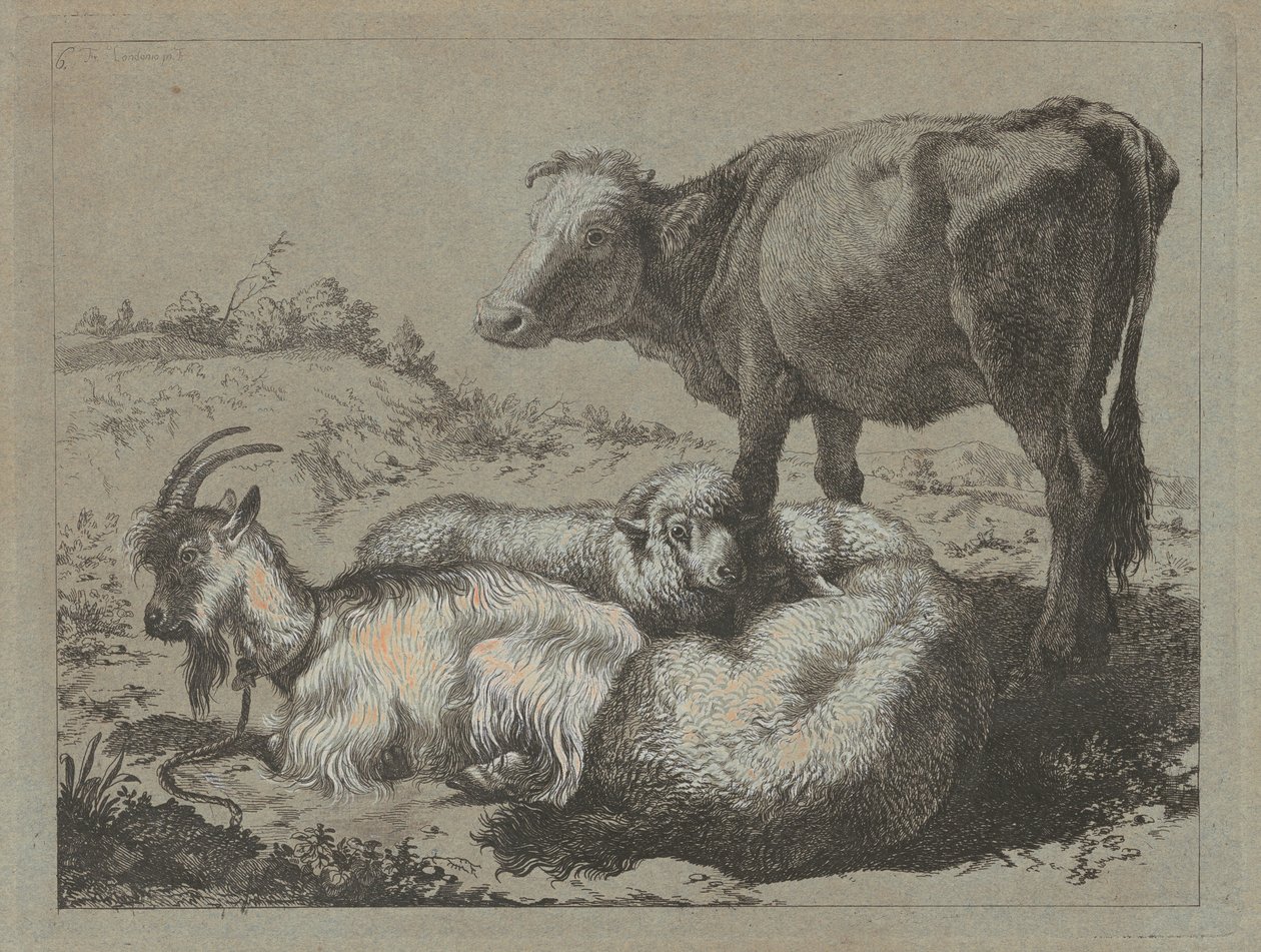 Stojący wół, dwie owce i koza, ok. godz. 1762. autorstwa Francesco Londonio