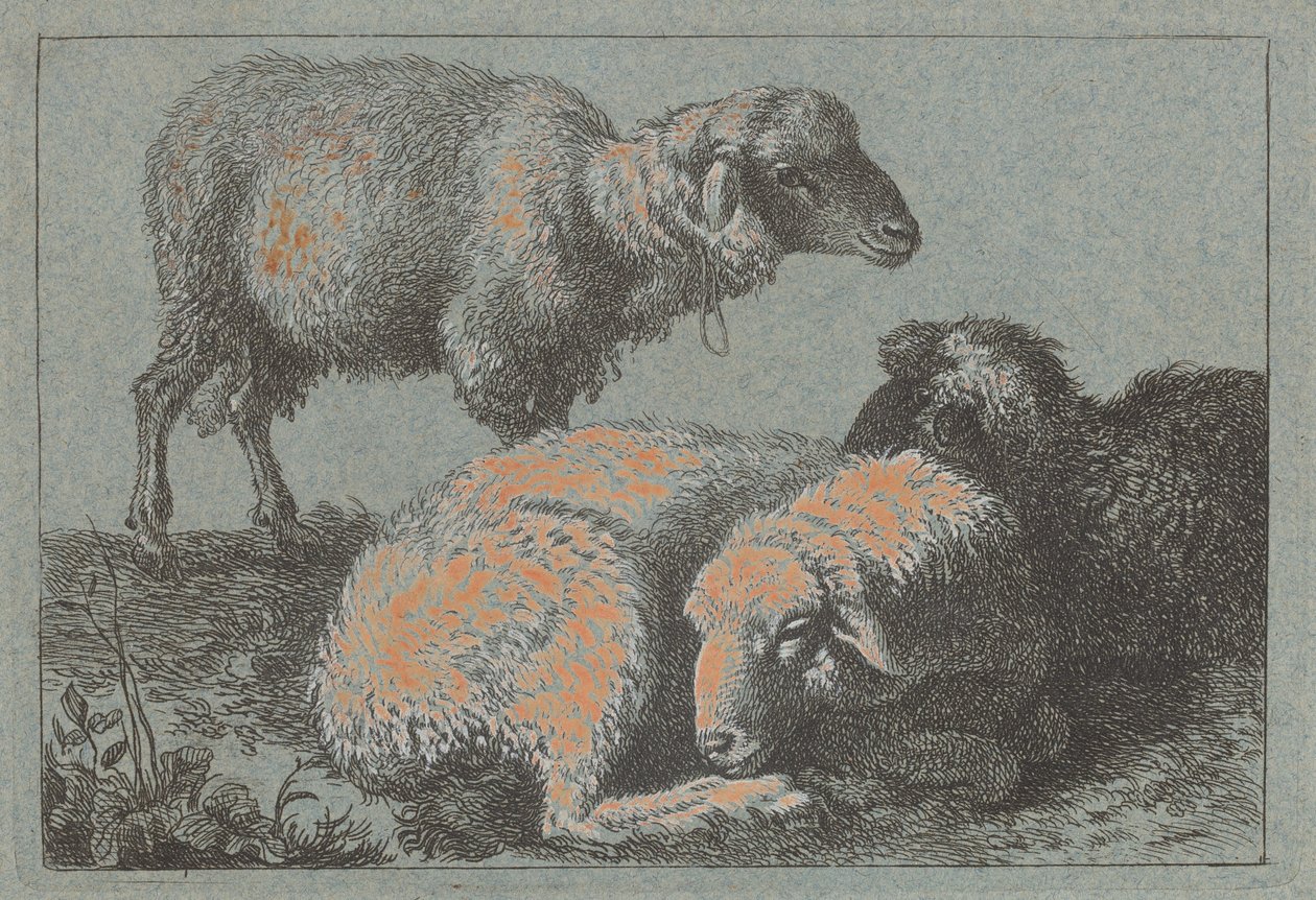Dwie leżące owce i jedna stojąca owca, 17571758. autorstwa Francesco Londonio