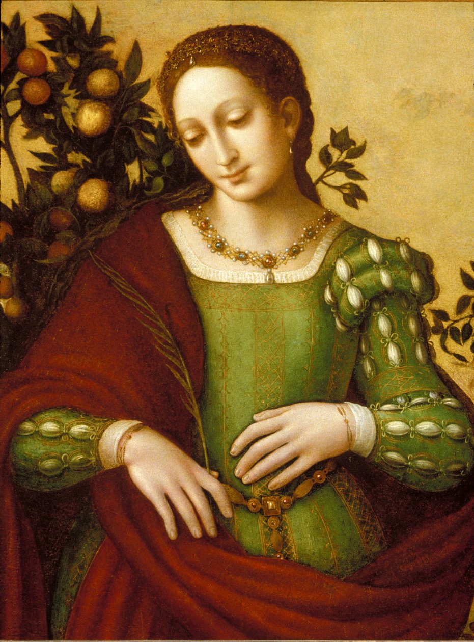 Święta kobieta autorstwa Francesco Melzi