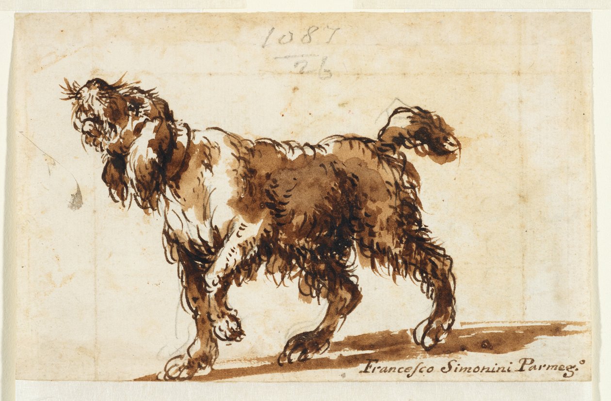 Wycie psa (recto), ok. 1700-50 r. (czarna kreda, długopis i brązowy tusz, brązowe pranie, grafit na kredowanym papierze) autorstwa Francesco Simonini