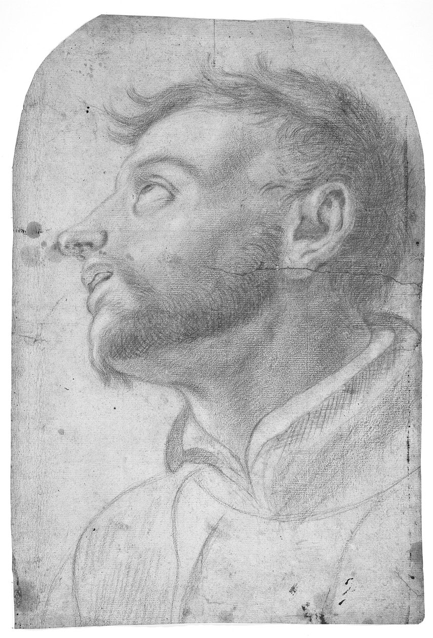 Głowa mężczyzny spoglądającego w górę autorstwa Francesco Solimena