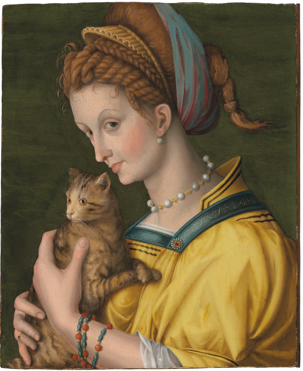 Portret młodej damy trzymającej kota autorstwa Francesco Ubertini Verdi Bachiacca