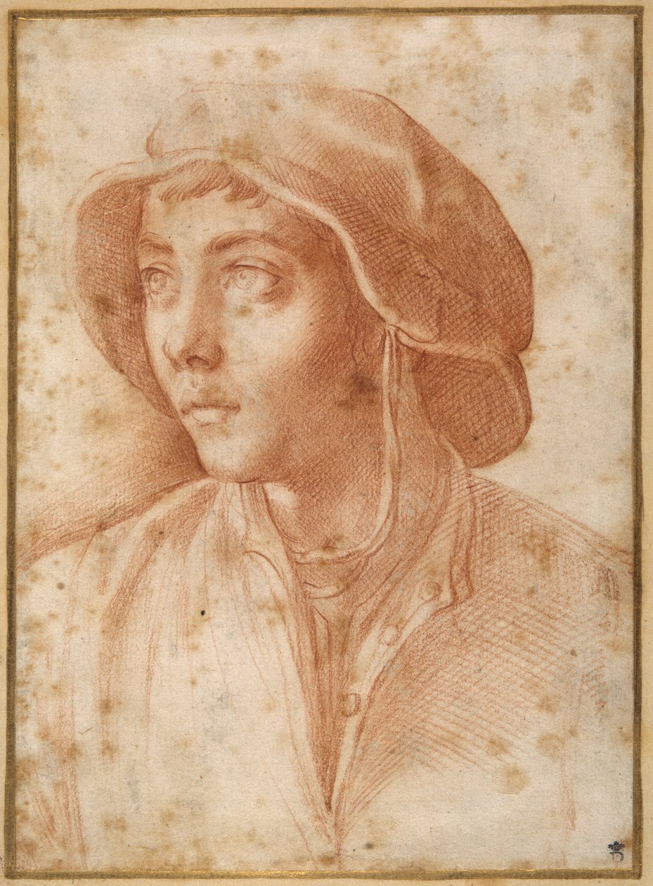 Popiersie portret chłopca w czapce (czerwona kreda na kremowym papierze) autorstwa Francesco de Rossi Salviati Cecchino