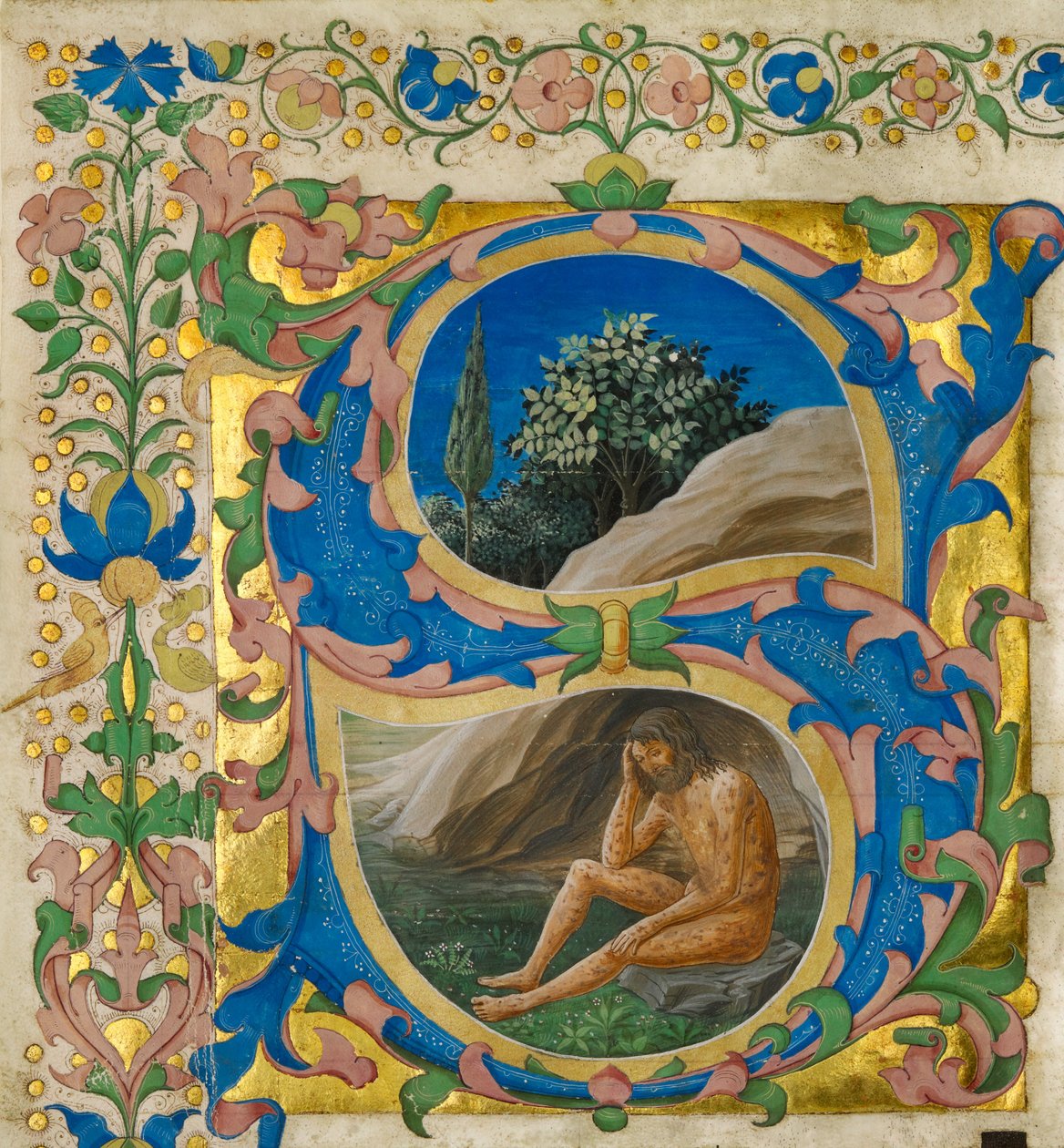 Początkowy S: Praca autorstwa Francesco di Antonio del Chierico