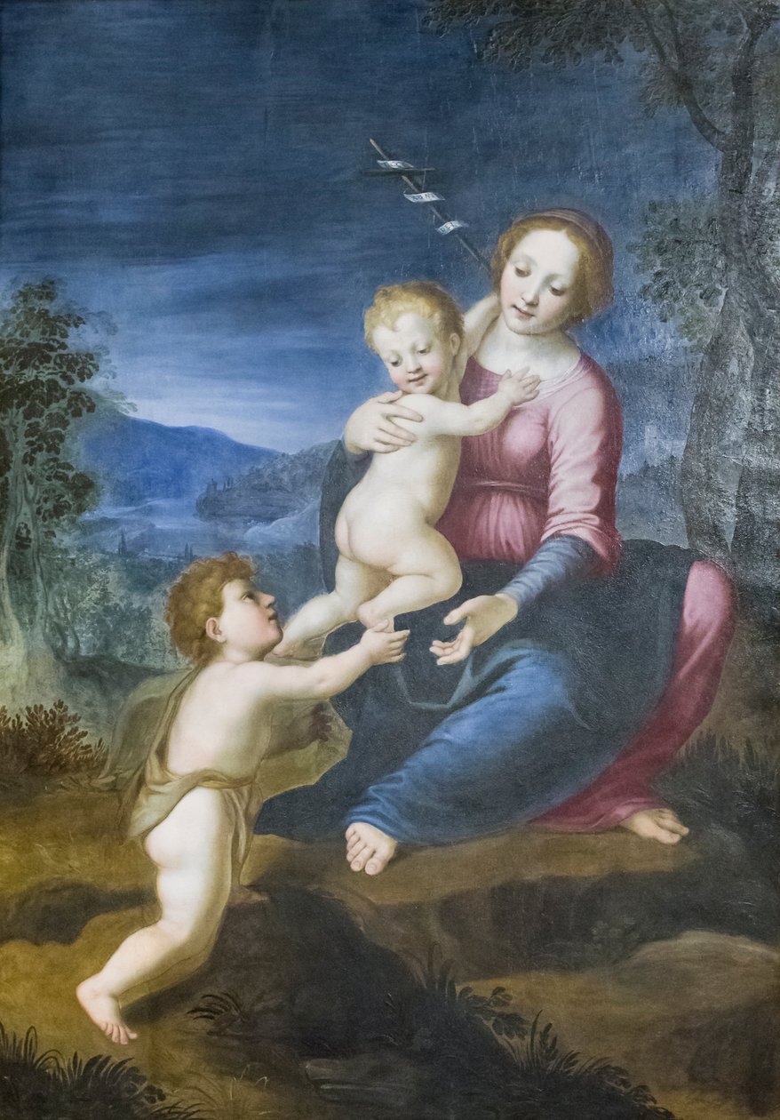 Dziewica z Jezusem i Janem Chrzcicielem autorstwa Francesco di Cristofano Franciabigio