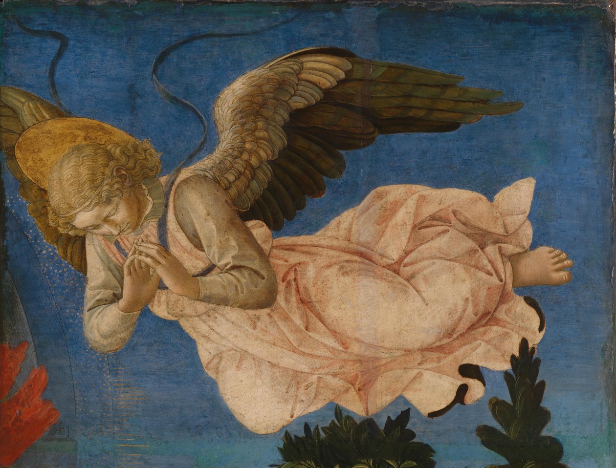 Panel Anioła Ołtarza Pistoia Santa Trinità, 1455-1460 autorstwa Francesco di Stefano Pesellino