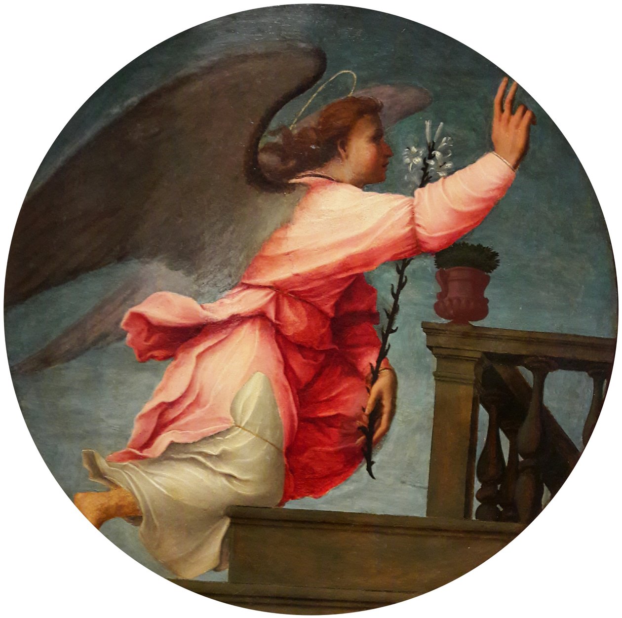 Anioł z pary Zwiastowania autorstwa Francesco di Cristofano Franciabigio