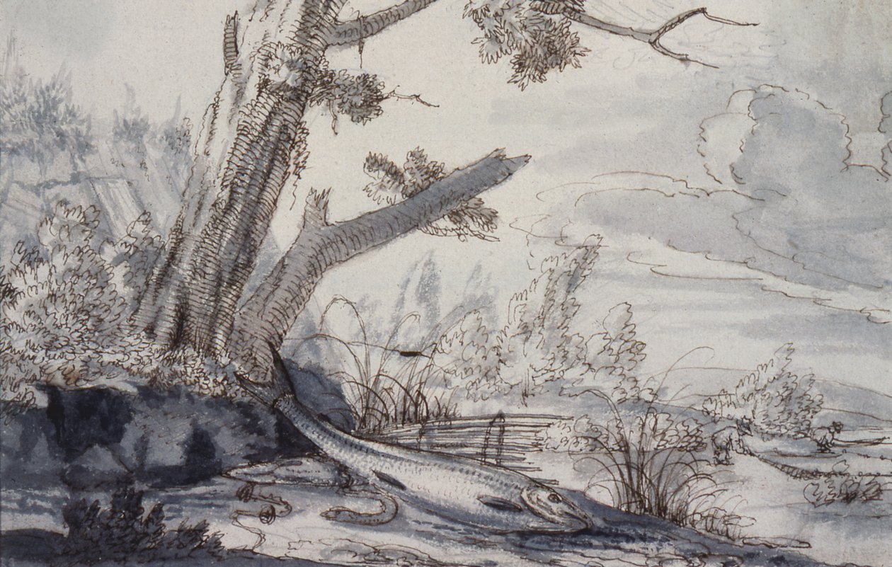 Kuropatwy i bekas, XVII w. (rysunek) autorstwa Francis Barlow