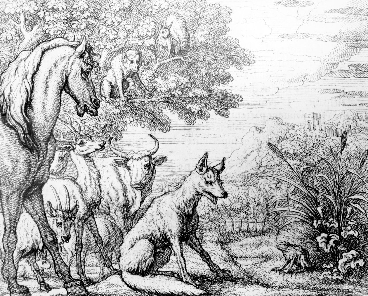Ambicingoji varlė, iliustracija iš „Ezopo pasakų“, 1687 m. autorstwa Francis Barlow