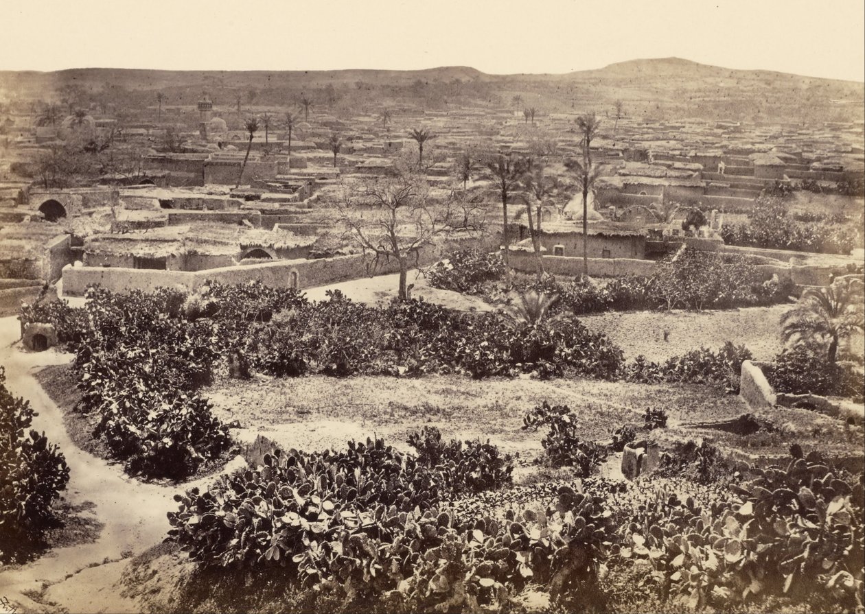 Gaza, Nowe Miasto autorstwa Francis Frith