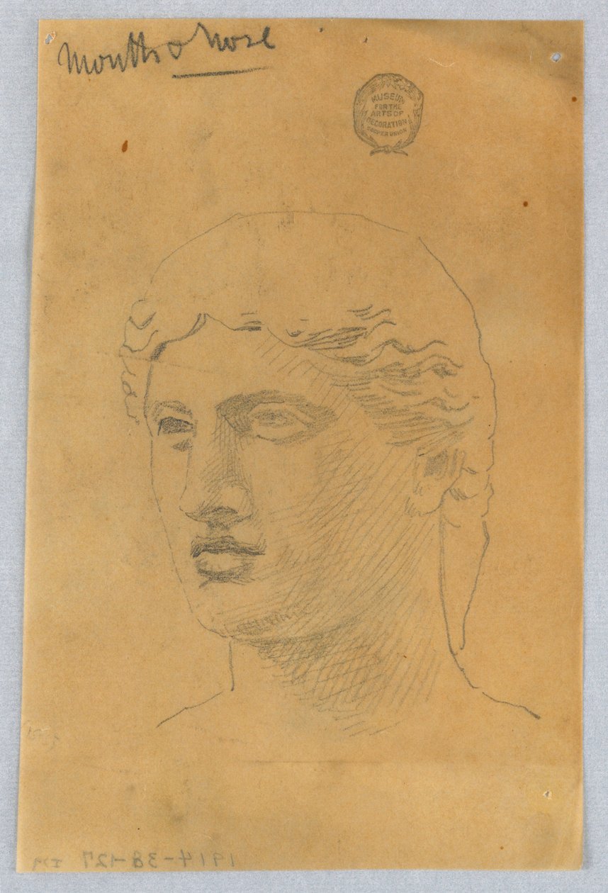 Szkic głowy młodzieńca autorstwa Francis Augustus Lathrop