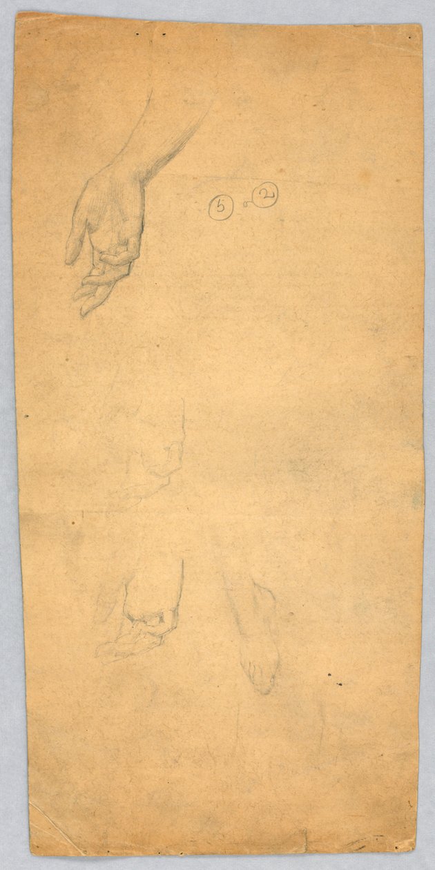 Studia dłoni i stopy autorstwa Francis Augustus Lathrop