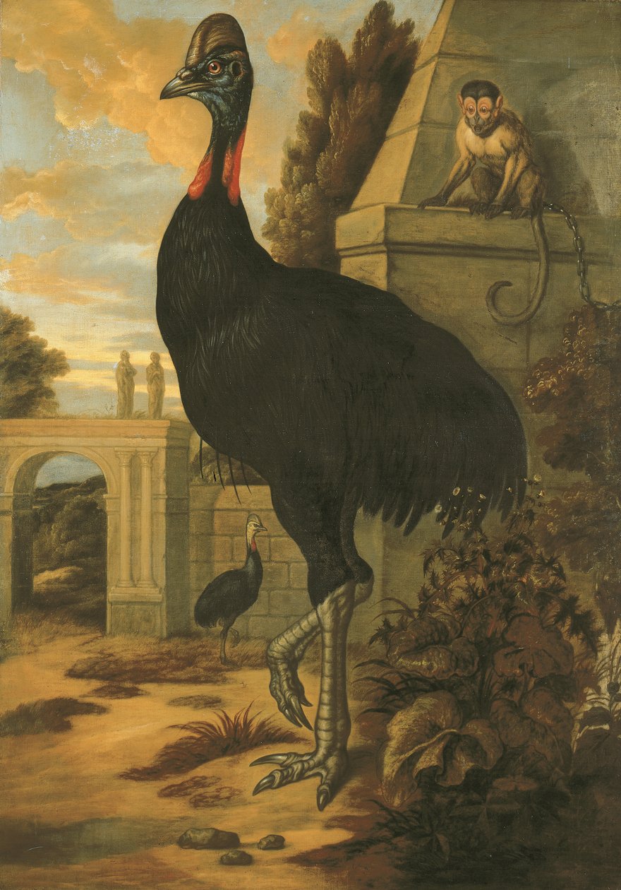 Kazuar autorstwa Francis Barlow