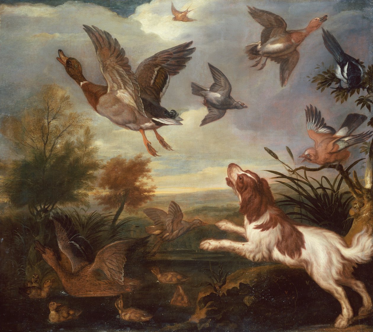 Spaniel Flushing Mallard (olej na płótnie) autorstwa Francis Barlow