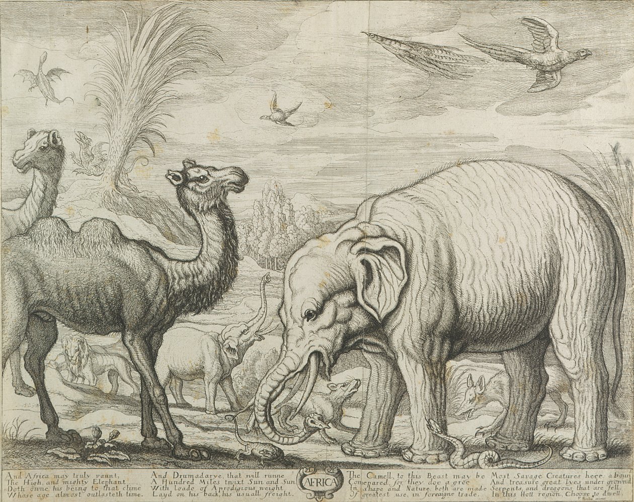 Afryka, 1672 autorstwa Francis Barlow