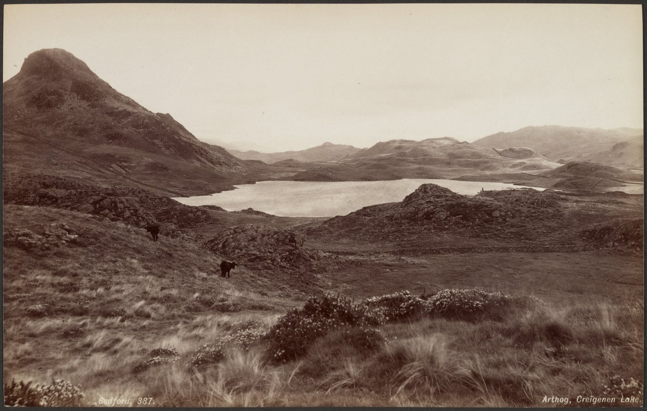 Arthog, jezioro Creigene autorstwa Francis Bedford