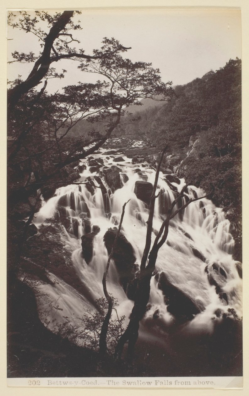 Bettw-s-y Coed, Jaskółka spada z góry autorstwa Francis Bedford