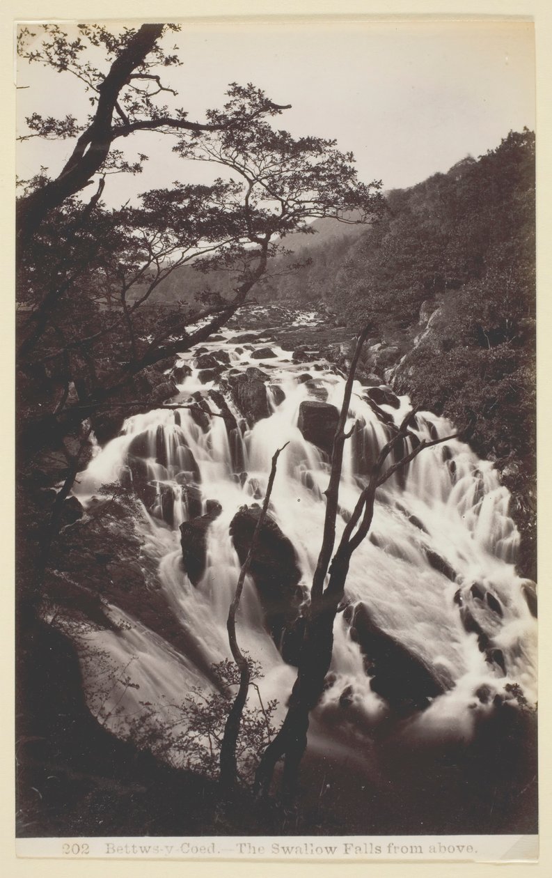 Bettws-y Coed, Jaskółka spada z góry, 186094. autorstwa Francis Bedford