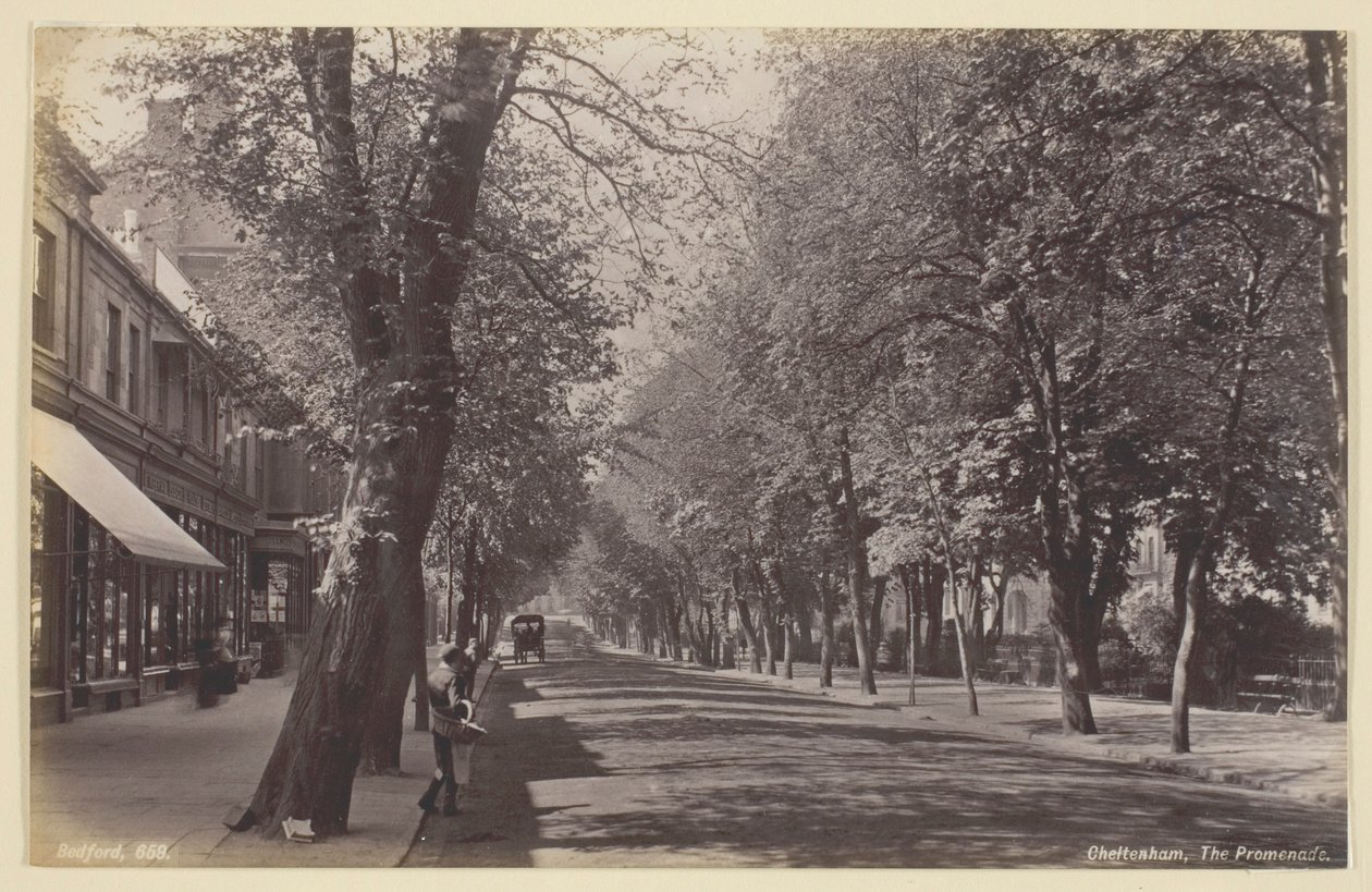 Cheltenham, Promenada autorstwa Francis Bedford