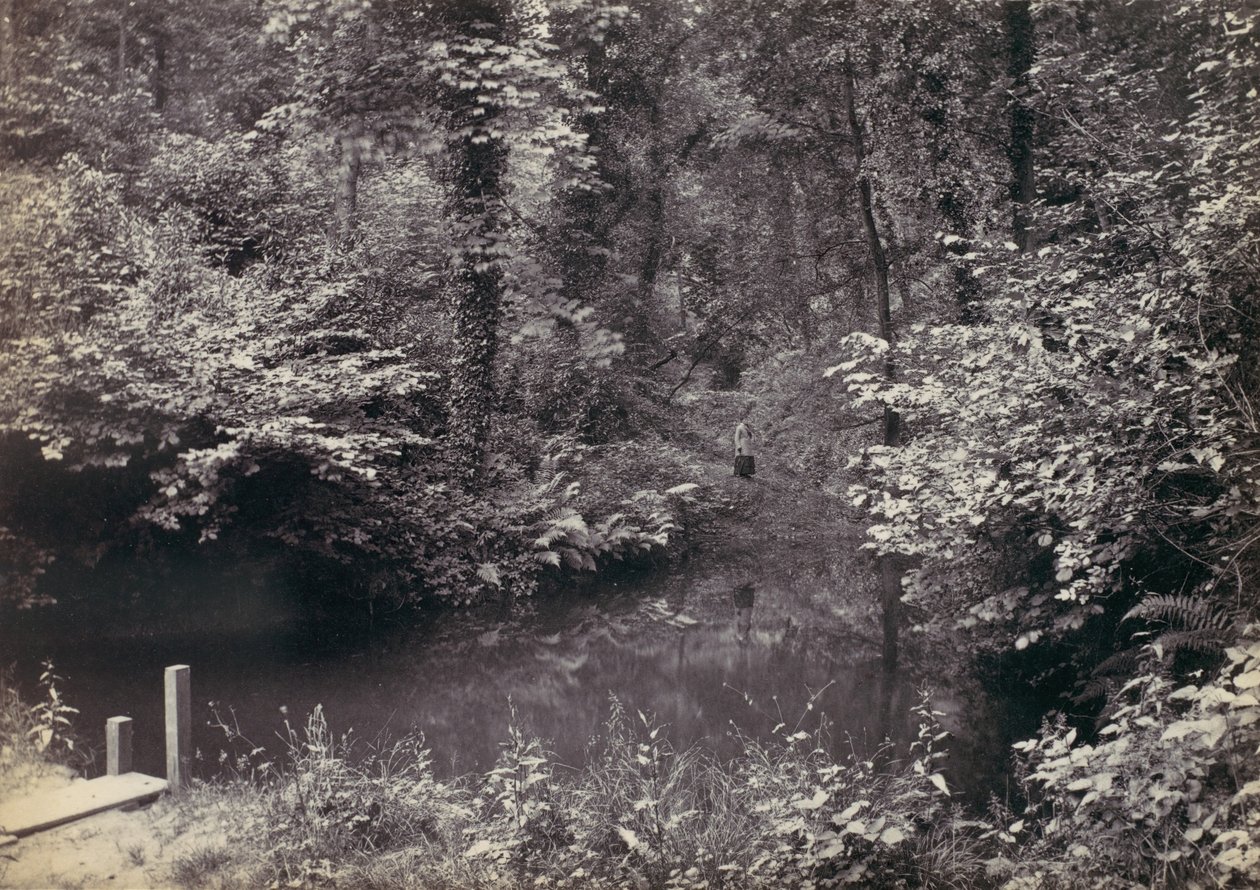 Zatoka Colwyn. Basen w lesie, lata 70. XIX wieku. autorstwa Francis Bedford