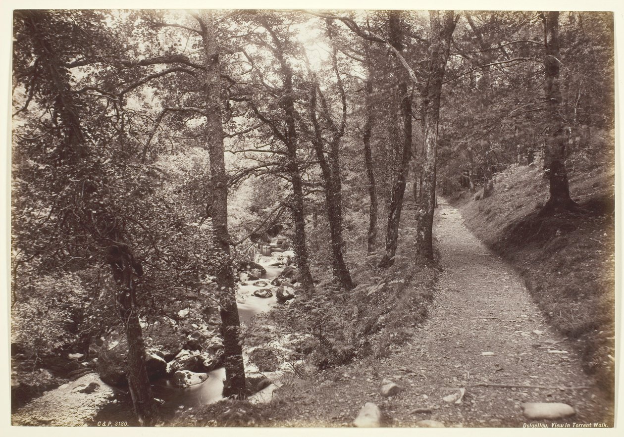 Dolgelley, Widok w Torrent Walk, 186094. autorstwa Francis Bedford
