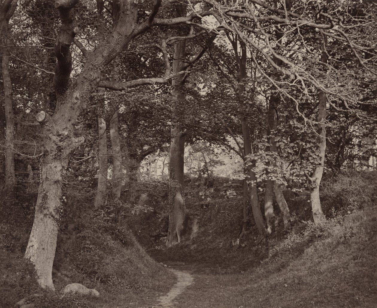 Glen Kenilworth, ok. 1868 (zdjęcie) autorstwa Francis Bedford