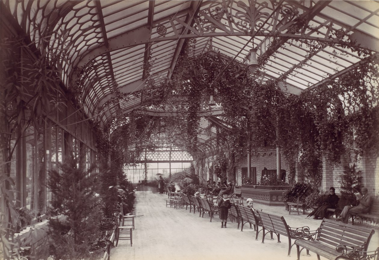 Ilfracombe, wiktoriańska promenada, lata 70. XIX wieku. autorstwa Francis Bedford