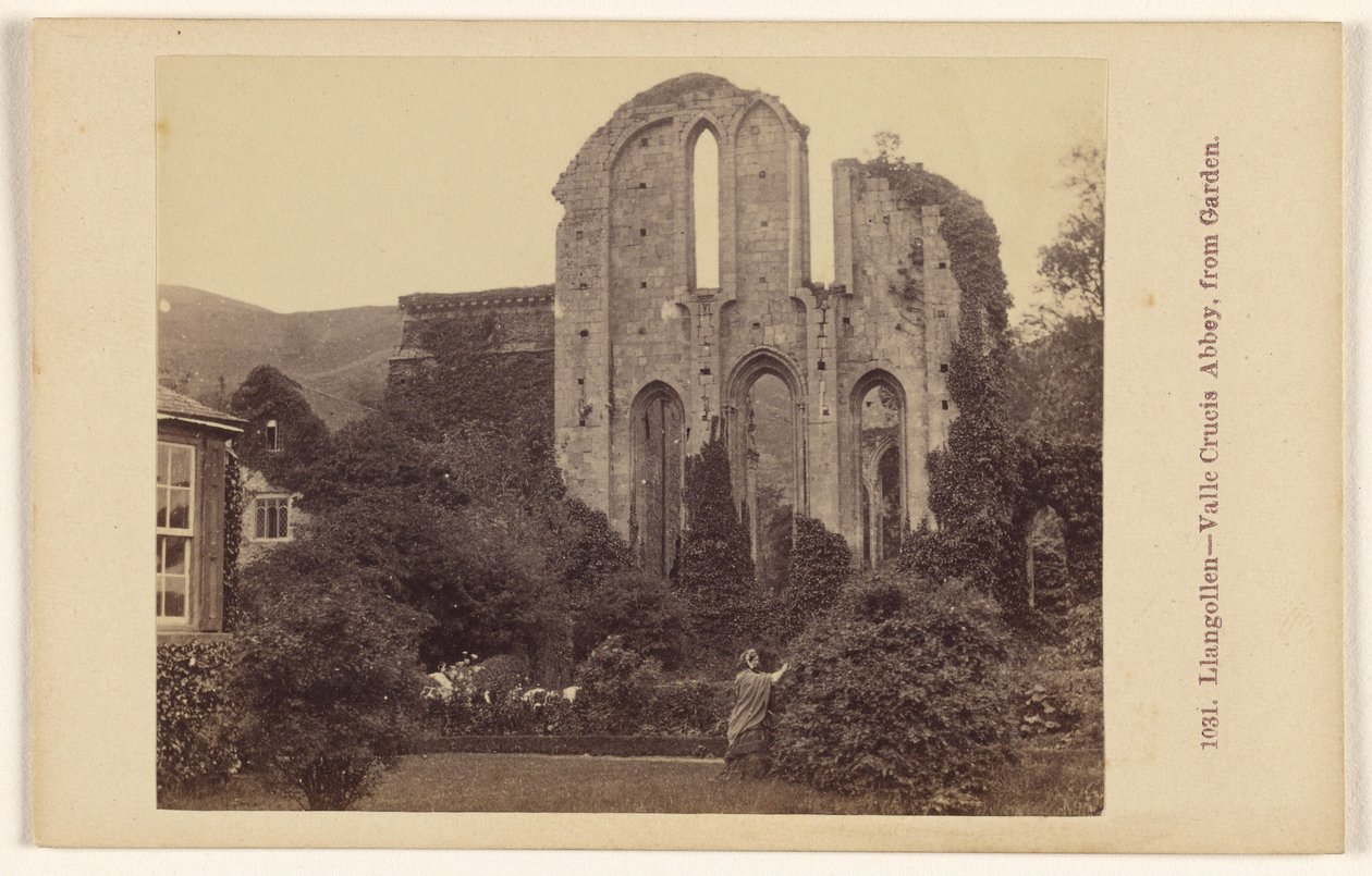 Llangollen - opactwo Valle Crucis, widok z ogrodu autorstwa Francis Bedford