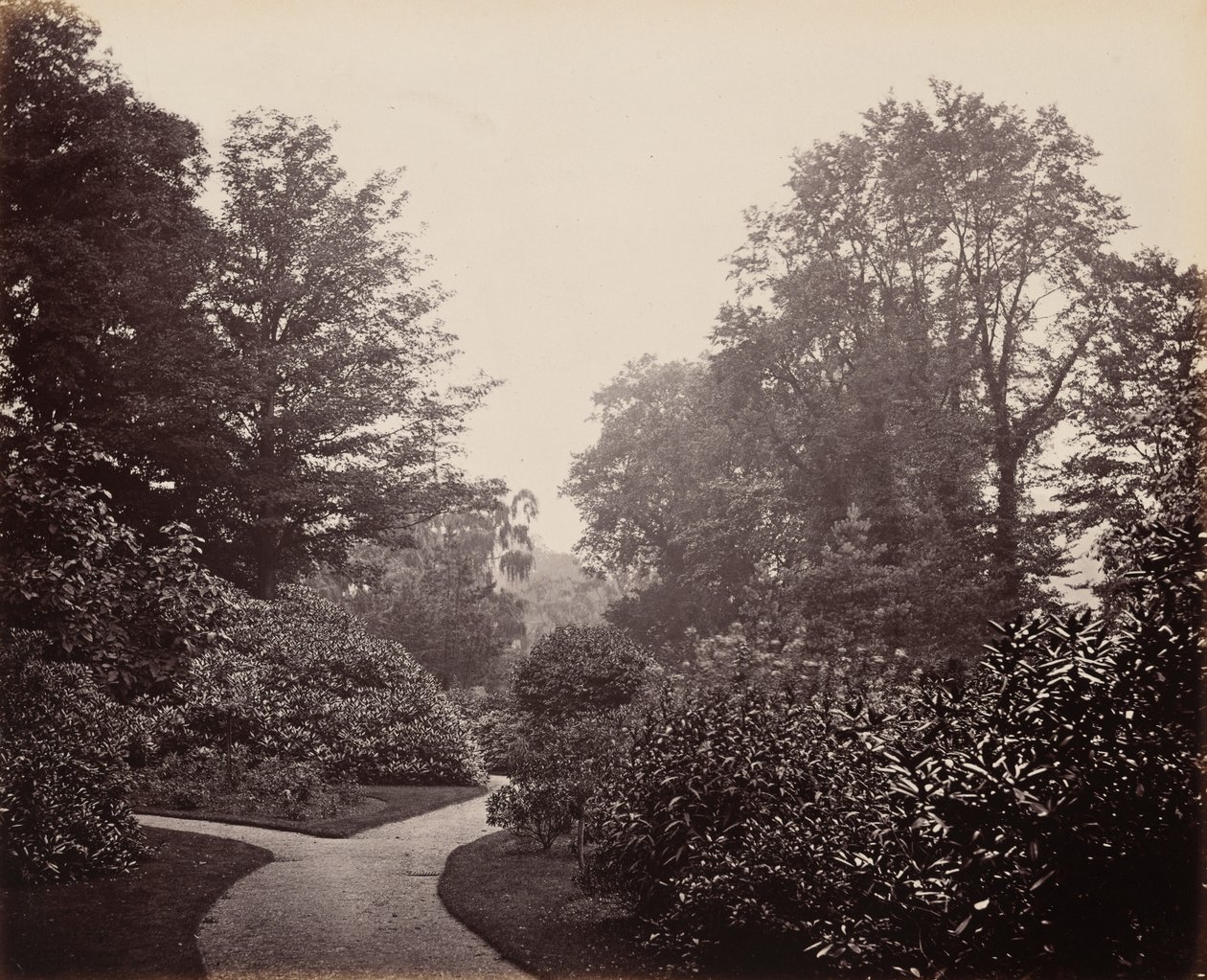 Ścieżka w Alexandra Park, ok. 1863 (zdjęcie) autorstwa Francis Bedford