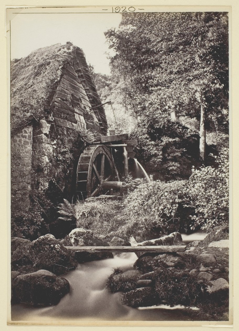 Nieuprawny autorstwa Francis Bedford