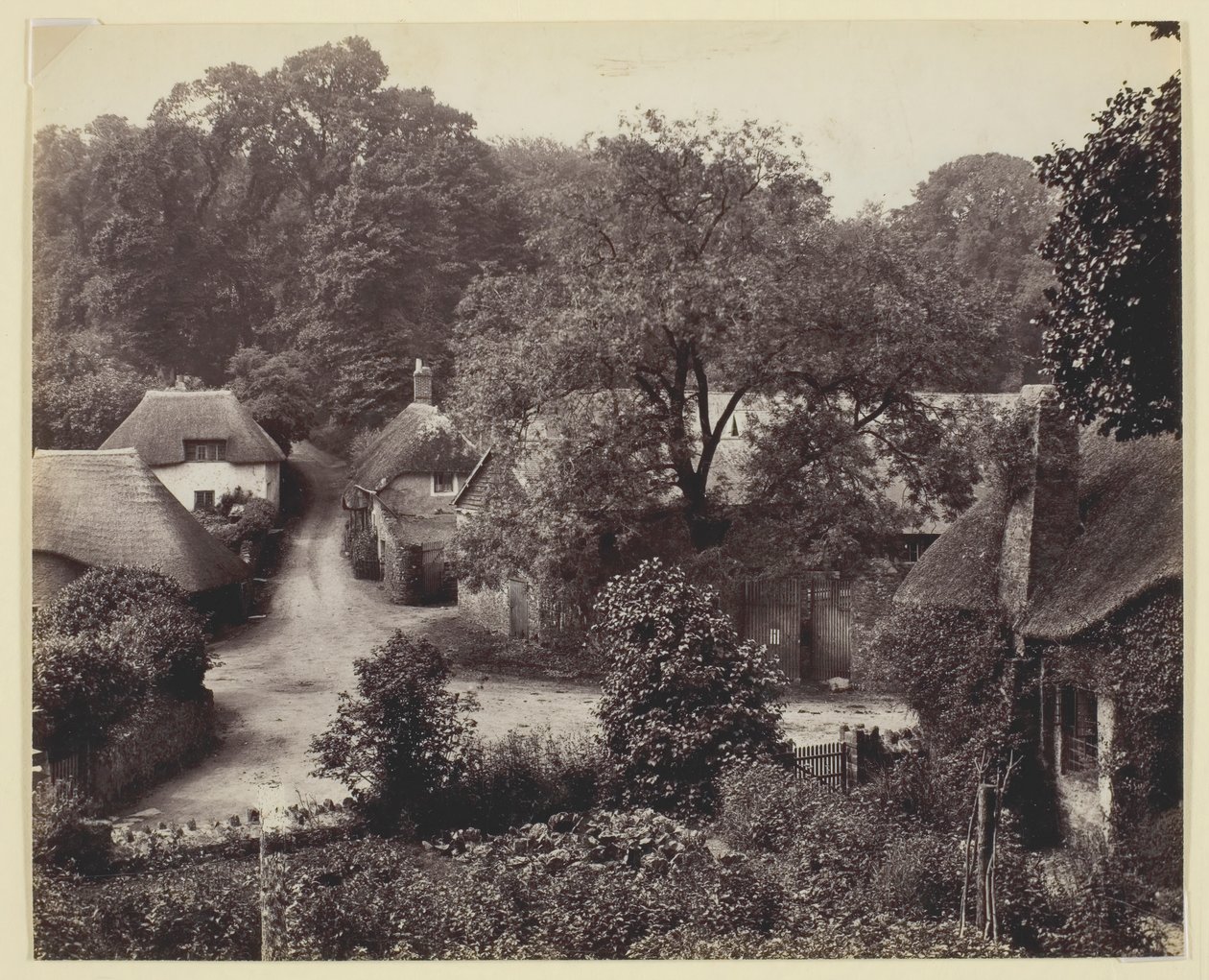 Bez tytułu [domki kryte strzechą], 186094. autorstwa Francis Bedford
