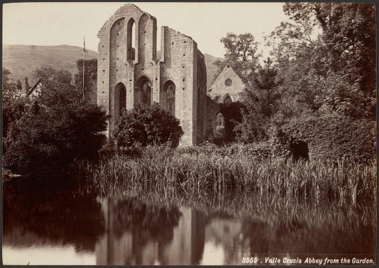 Opactwo Valle Crucis widziane z ogrodu autorstwa Francis Bedford
