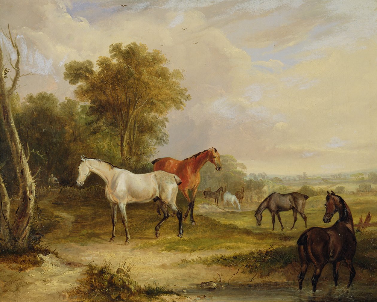 Wypas koni: siwy ogier pasący się z klaczami na łące (olej na płótnie) autorstwa Francis Calcraft Turner