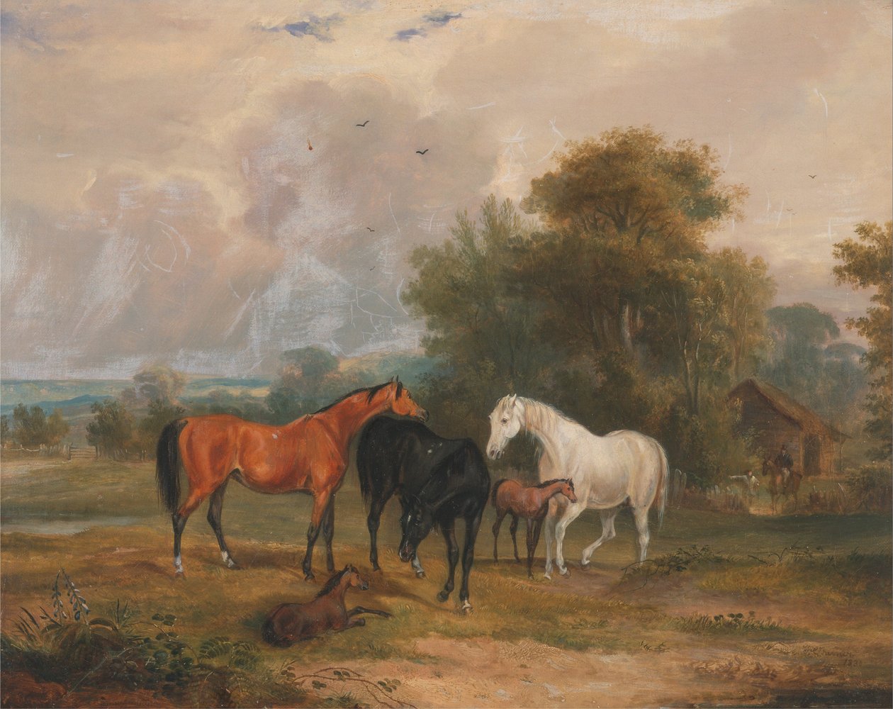 Konie na pastwisku: Klacze i źrebięta na polu autorstwa Francis Calcraft Turner