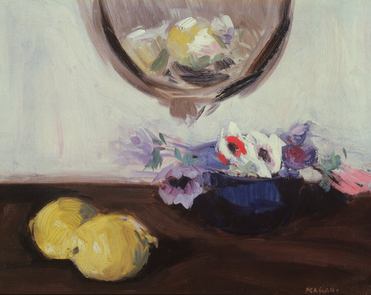 Zawilce i cytryny autorstwa Francis Campbell Boileau Cadell