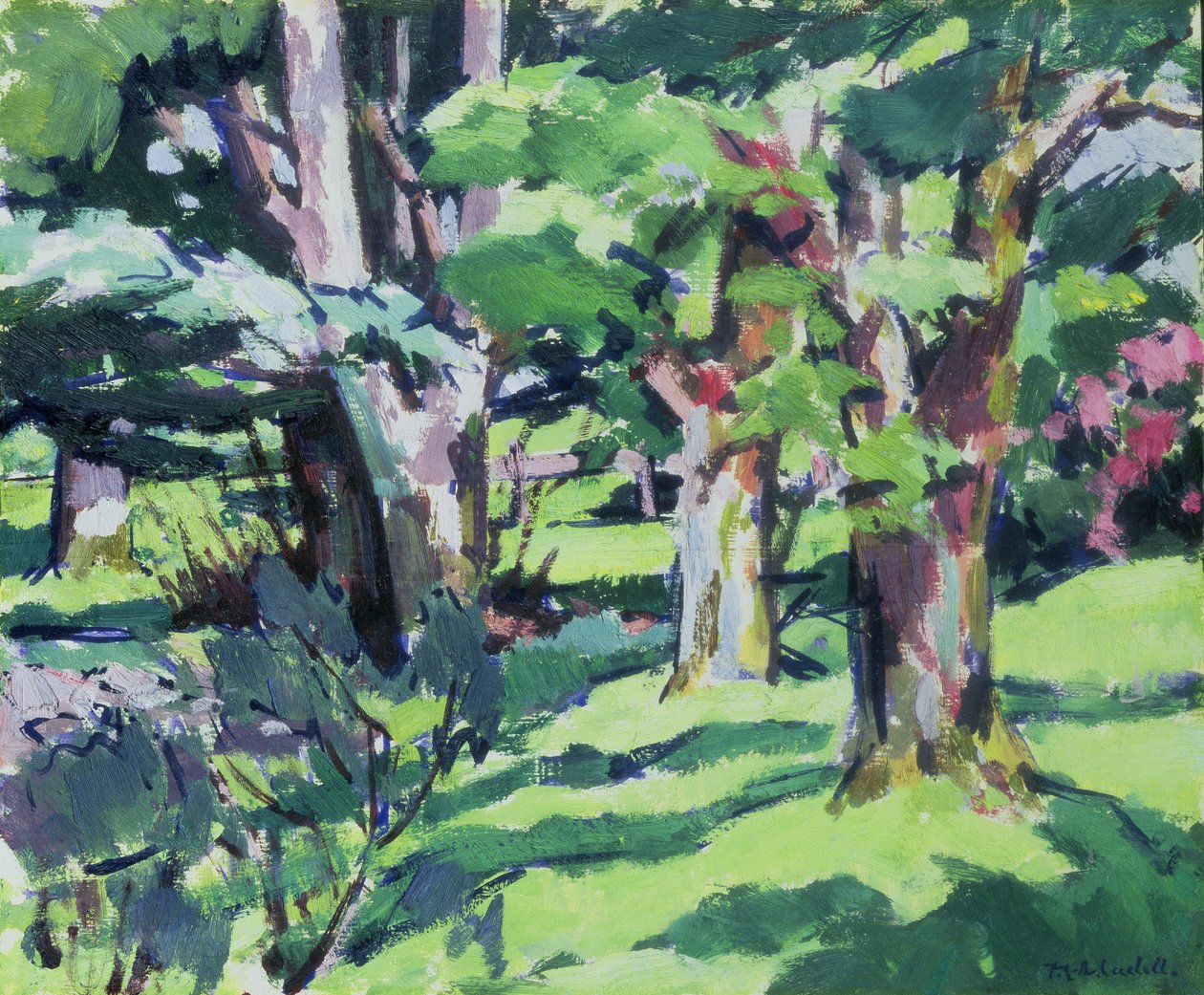 Drzewa w Auchinleck, Ayrshire autorstwa Francis Campbell Boileau Cadell