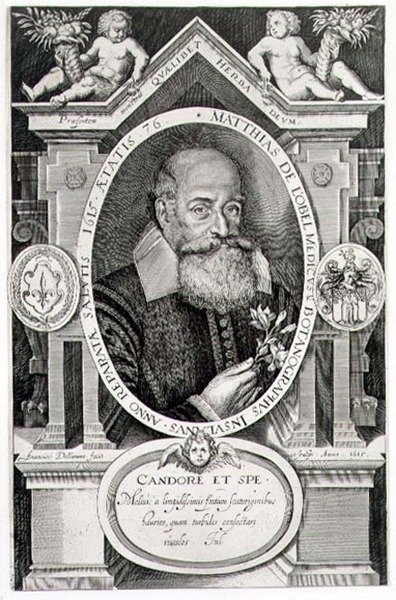 Portret Matthiasa de Lobel (1538-1622) wyryty przez artystę autorstwa Francis Delaram
