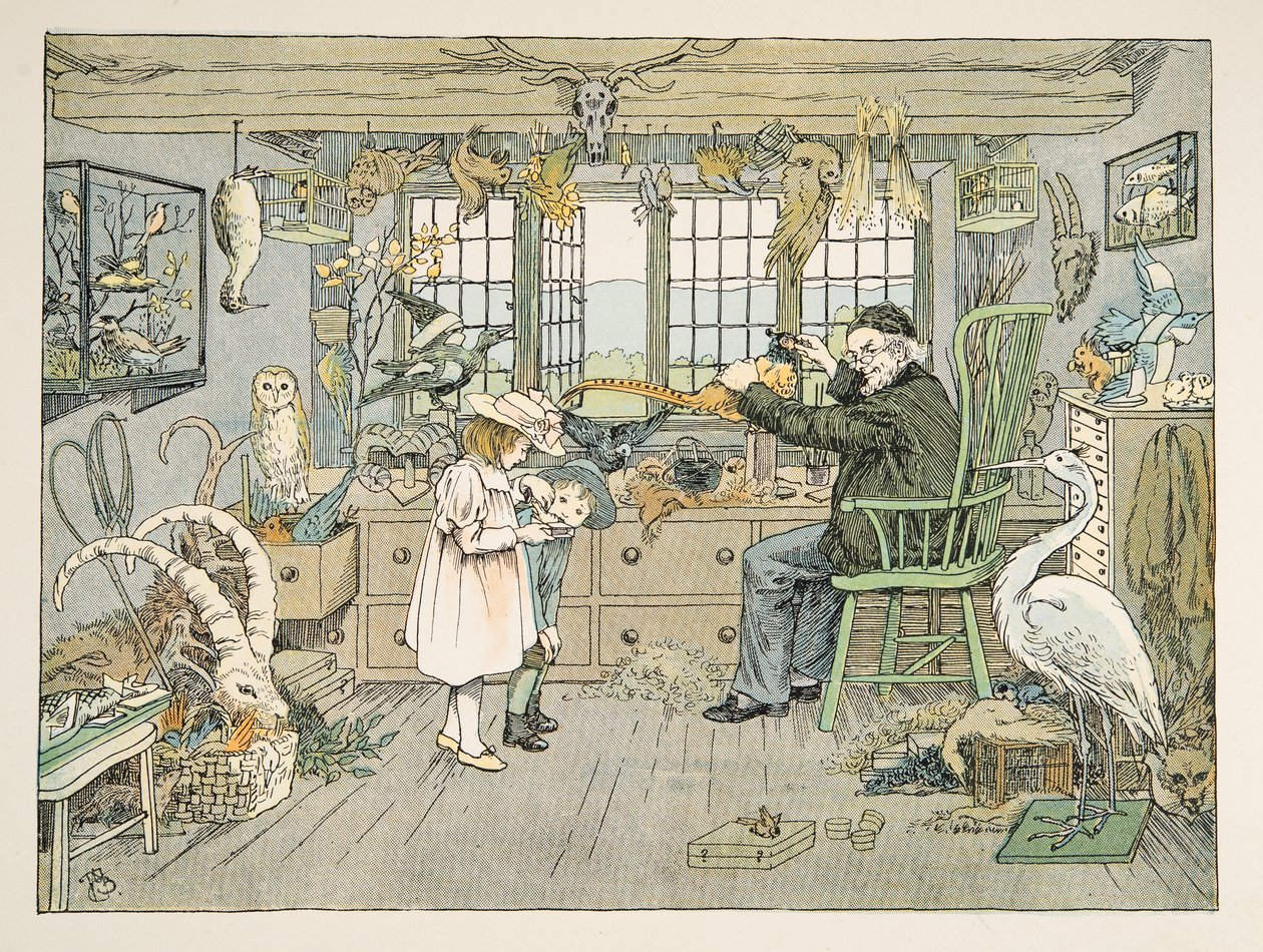 The Bird Stuffer, od Four and Twenty Toilers, wyd. 1900 (kolorowa litografia) autorstwa Francis Donkin Bedford